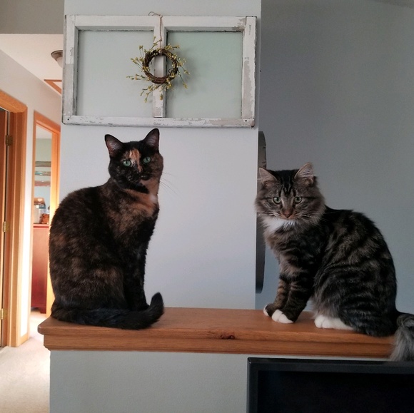 Meet your Posher, Andrea - Picture 1 of 1